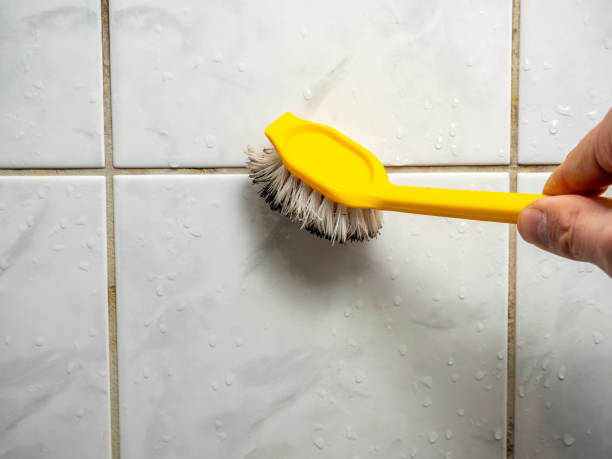 Best Home Mold Removal  in Windsor, CO